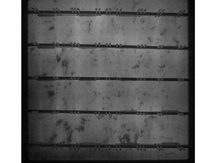 Module EL black spot detection