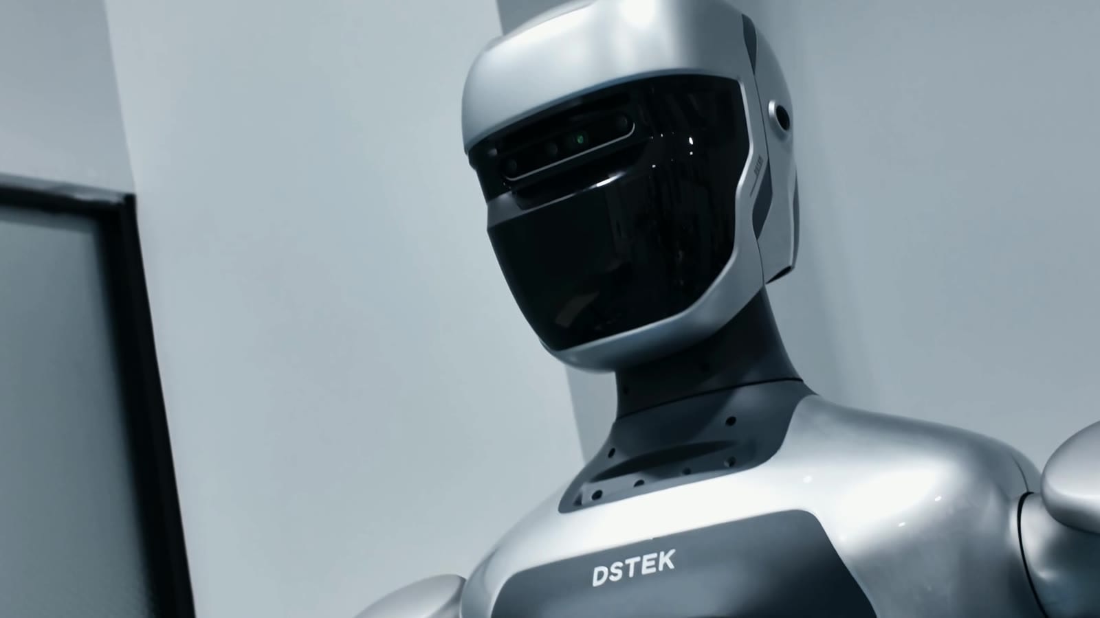 The stereo cameras in the DSROBOT head